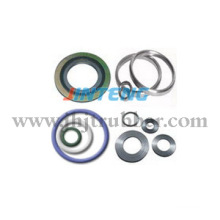 Spiral Wound Gasket, Swg Gasket, Rtj Gasket